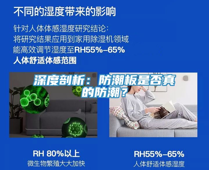 深度剖析：防潮板是否真的防潮？