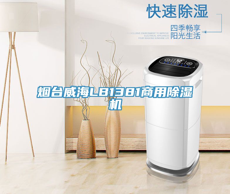 煙台威海LB1381商用PICACG哔咔官网入口