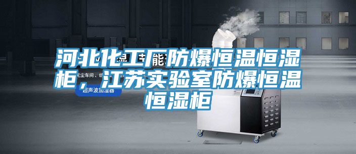 河北化工廠防爆恒溫恒濕櫃，江蘇實驗室防爆恒溫恒濕櫃