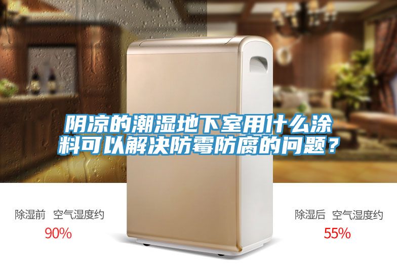 陰涼的潮濕地下室用什麽塗料可以解決防黴防腐的問題？