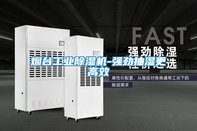 煙台工業PICACG哔咔官网入口-強勁抽濕更高效