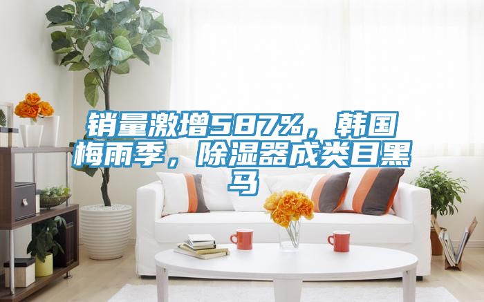 銷量激增587%，韓國梅雨季，除濕器成類目黑馬