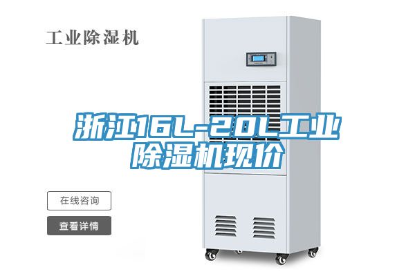 浙江16L-20L工業PICACG哔咔官网入口現價