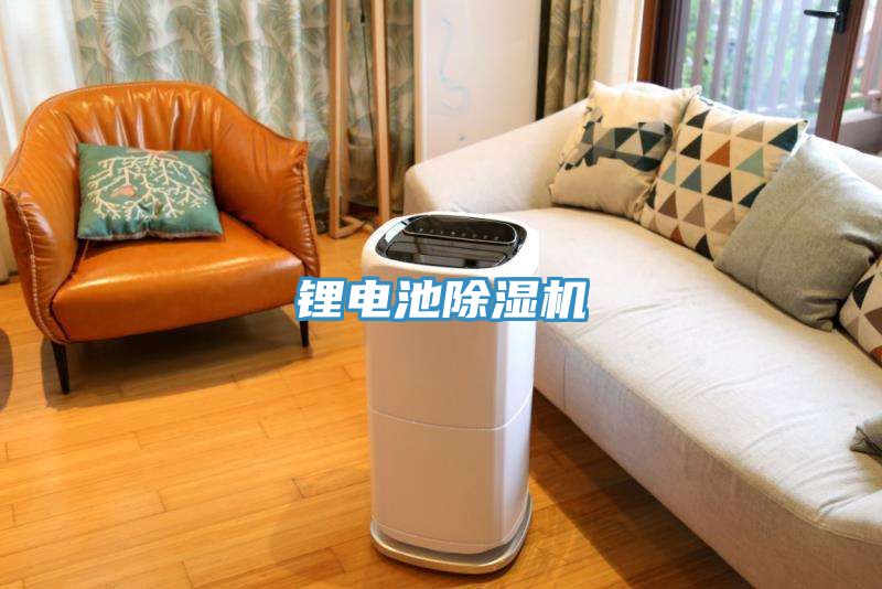 鋰電池PICACG哔咔官网入口