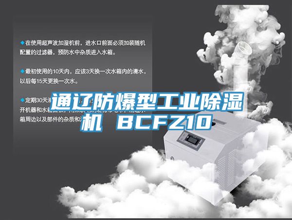 通遼防爆型工業PICACG哔咔官网入口 BCFZ10