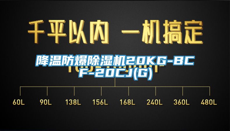 降溫防爆PICACG哔咔官网入口20KG-BCF-20CJ(G)