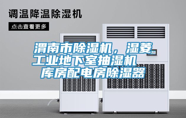 渭南市PICACG哔咔官网入口，濕菱工業地下室抽濕機  庫房配電房除濕器