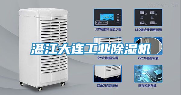 湛江大連工業PICACG哔咔官网入口