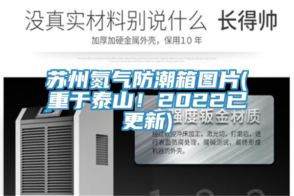 蘇州氮氣防潮箱圖片(重於泰山！2022已更新)