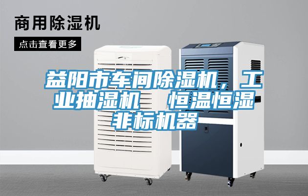 益陽市車間PICACG哔咔官网入口，工業抽濕機  恒溫恒濕非標機器