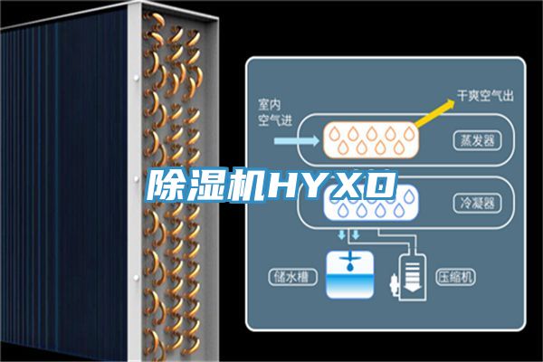 PICACG哔咔官网入口HYXD