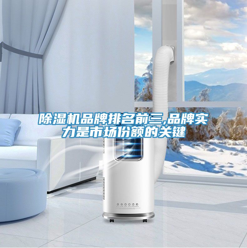 PICACG哔咔官网入口品牌排名前三,品牌實力是市場份額的關鍵