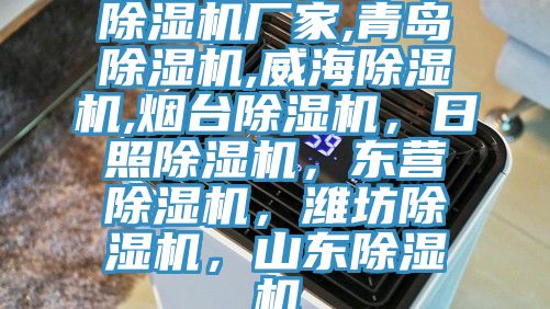 PICACG哔咔官网入口廠家,青島PICACG哔咔官网入口,威海PICACG哔咔官网入口,煙台PICACG哔咔官网入口，日照PICACG哔咔官网入口，東營PICACG哔咔官网入口，濰坊PICACG哔咔官网入口，山東PICACG哔咔官网入口