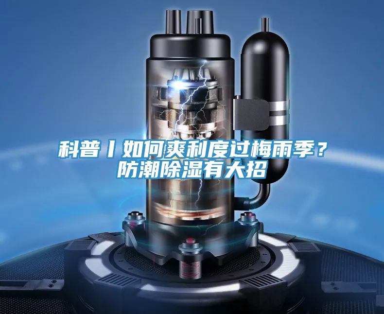 科普丨如何爽利度過梅雨季？防潮除濕有大招