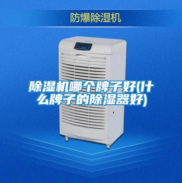 PICACG哔咔官网入口哪個牌子好(什麽牌子的除濕器好)