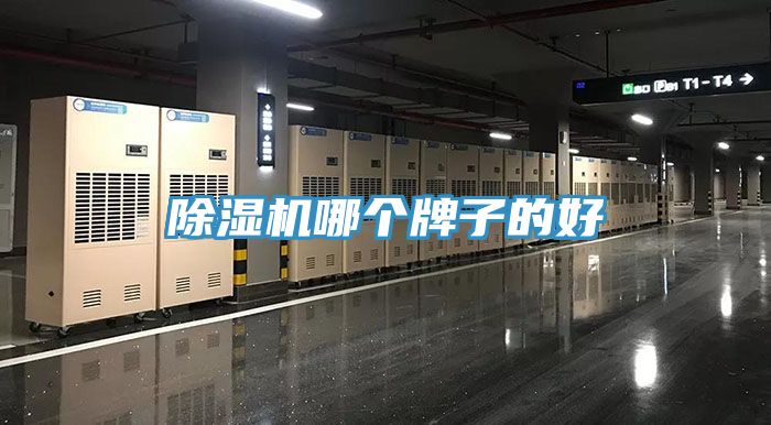 PICACG哔咔官网入口哪個牌子的好