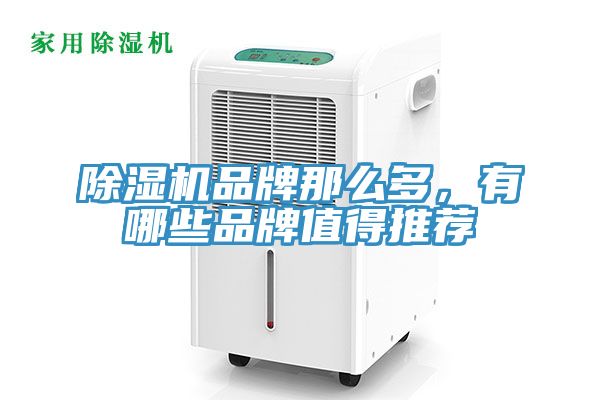 PICACG哔咔官网入口品牌那麽多，有哪些品牌值得推薦