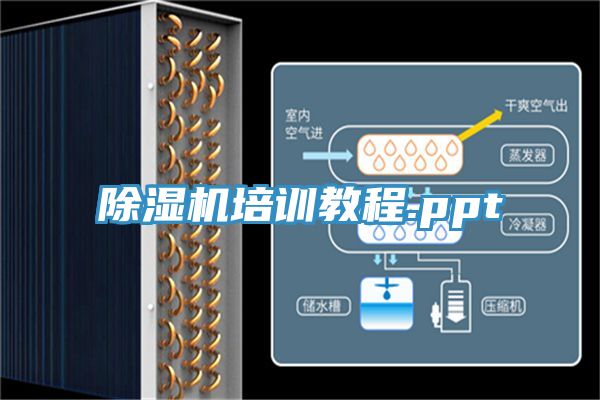 PICACG哔咔官网入口培訓教程.ppt