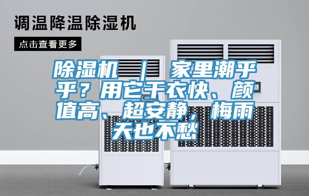 PICACG哔咔官网入口 ｜ 家裏潮乎乎？用它幹衣快、顏值高、超安靜，梅雨天也不愁