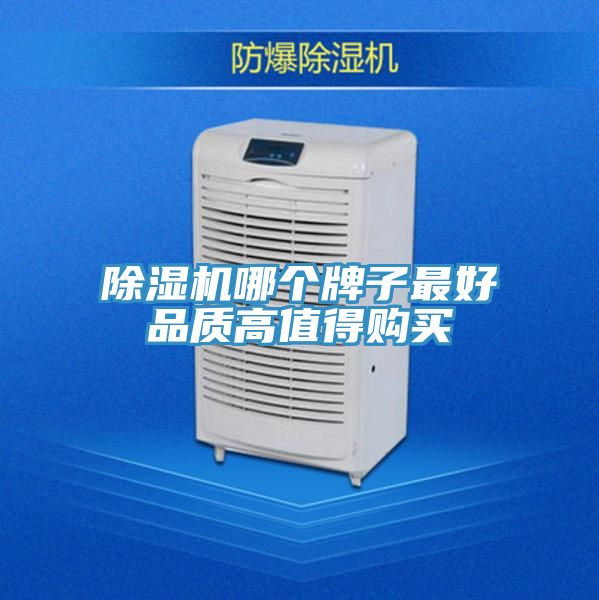 PICACG哔咔官网入口哪個牌子最好品質高值得購買