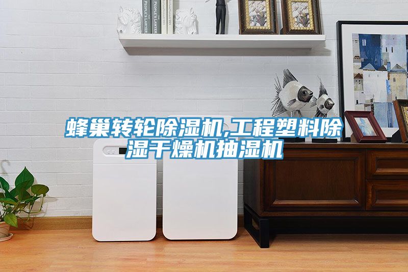 蜂巢轉輪PICACG哔咔官网入口,工程塑料除濕幹燥機抽濕機