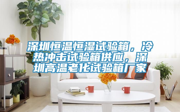 深圳恒溫恒濕試驗箱，冷熱衝擊試驗箱供應，深圳高溫老化試驗箱廠家