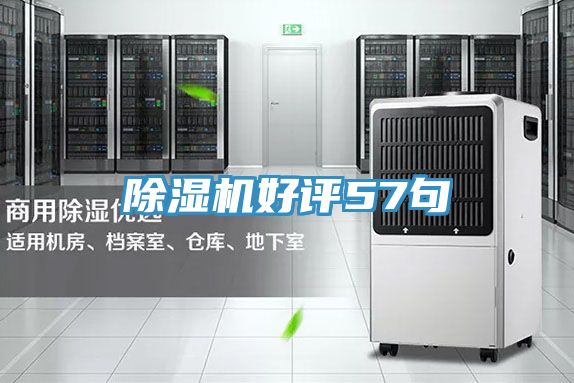 PICACG哔咔官网入口好評57句