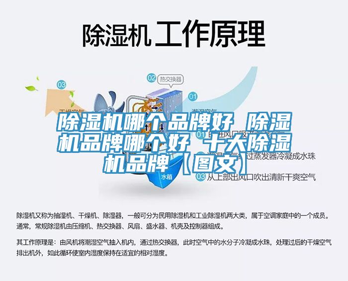PICACG哔咔官网入口哪個品牌好 PICACG哔咔官网入口品牌哪個好 十大PICACG哔咔官网入口品牌【圖文】