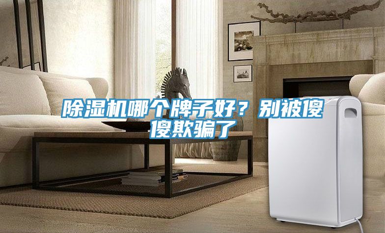 PICACG哔咔官网入口哪個牌子好？別被傻傻欺騙了