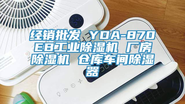 經銷批發 YDA-870EB工業PICACG哔咔官网入口 廠房PICACG哔咔官网入口 倉庫車間除濕器