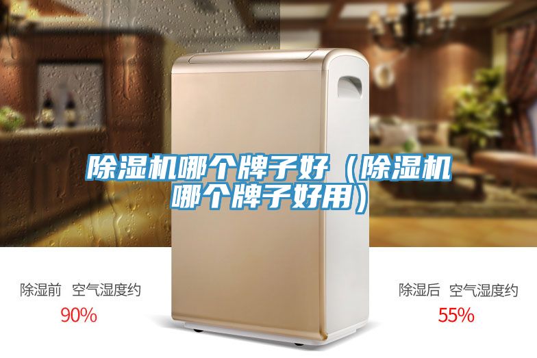 PICACG哔咔官网入口哪個牌子好（PICACG哔咔官网入口哪個牌子好用）