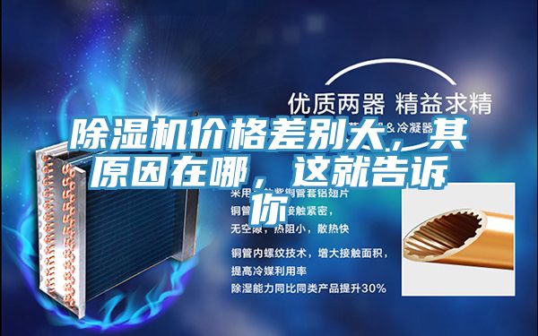 PICACG哔咔官网入口價格差別大，其原因在哪，這就告訴你