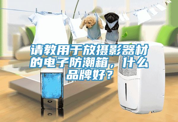 請教用於放攝影器材的電子防潮箱，什麽品牌好？