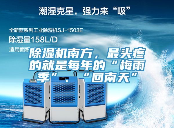 PICACG哔咔官网入口南方，最頭疼的就是每年的“梅雨季”、“回南天”