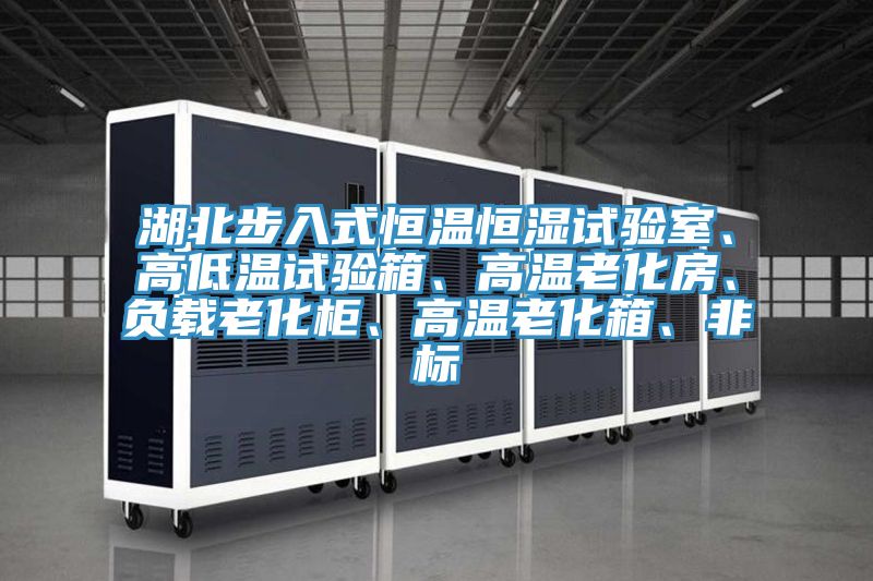 湖北步入式恒溫恒濕試驗室、高低溫試驗箱、高溫老化房、負載老化櫃、高溫老化箱、非標