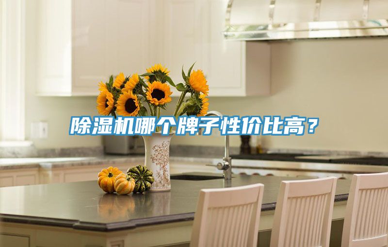 PICACG哔咔官网入口哪個牌子性價比高？