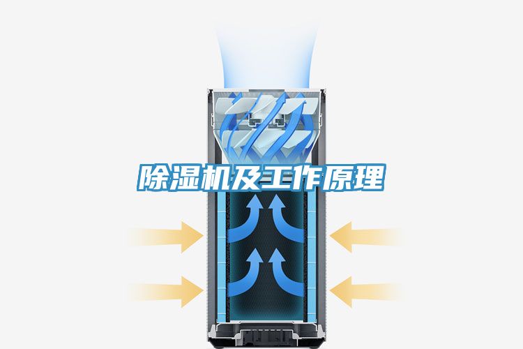 PICACG哔咔官网入口及工作原理