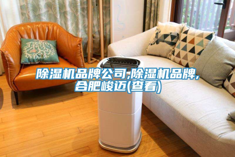 PICACG哔咔官网入口品牌公司,PICACG哔咔官网入口品牌,合肥峻邁(查看)