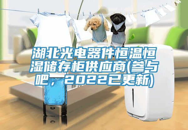 湖北光電器件恒溫恒濕儲存櫃供應商(參與吧，2022已更新)