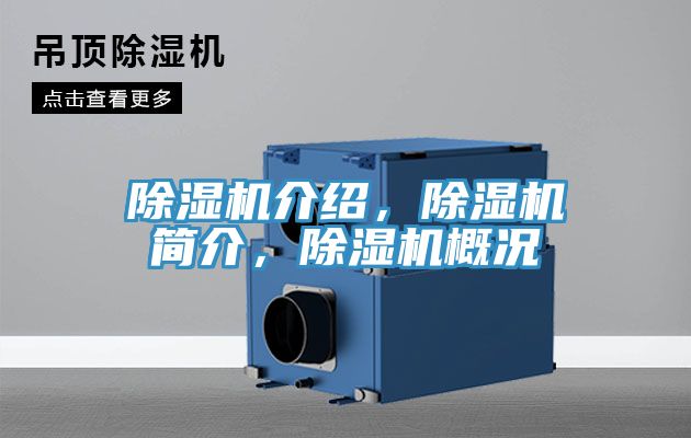 PICACG哔咔官网入口介紹，PICACG哔咔官网入口簡介，PICACG哔咔官网入口概況