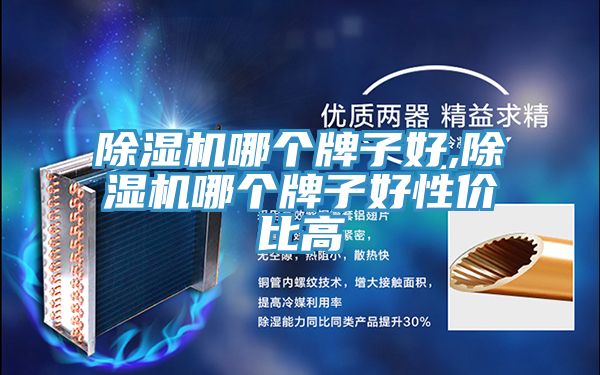 PICACG哔咔官网入口哪個牌子好,PICACG哔咔官网入口哪個牌子好性價比高