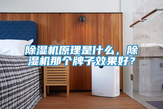 PICACG哔咔官网入口原理是什麽，PICACG哔咔官网入口那個牌子效果好？