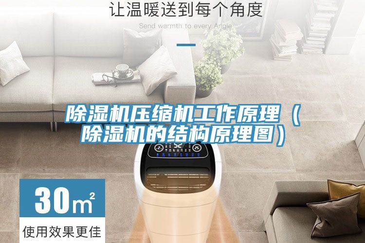 PICACG哔咔官网入口壓縮機工作原理（PICACG哔咔官网入口的結構原理圖）