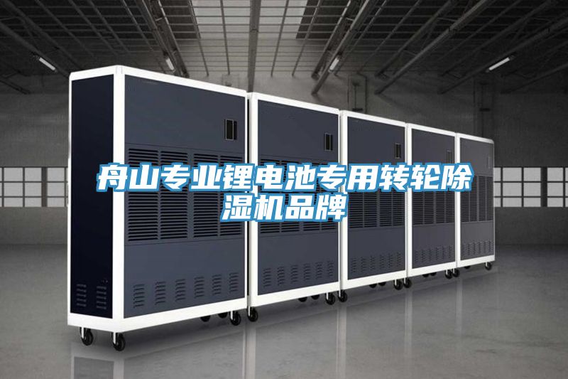 舟山專業鋰電池專用轉輪PICACG哔咔官网入口品牌