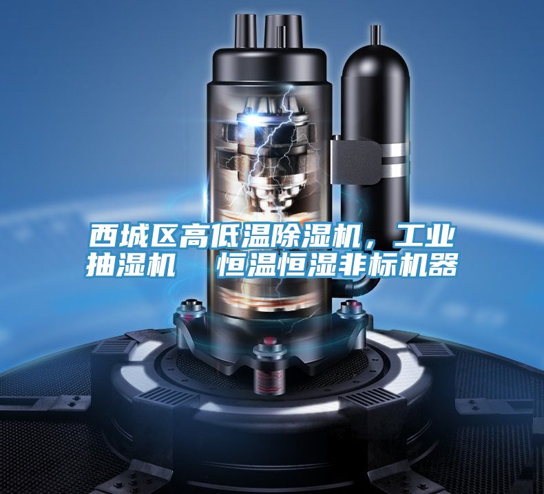 西城區高低溫PICACG哔咔官网入口，工業抽濕機  恒溫恒濕非標機器
