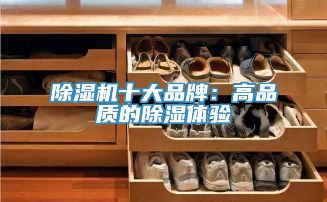 PICACG哔咔官网入口十大品牌：高品質的除濕體驗