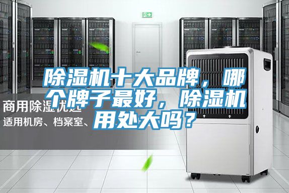 PICACG哔咔官网入口十大品牌，哪個牌子最好，PICACG哔咔官网入口用處大嗎？