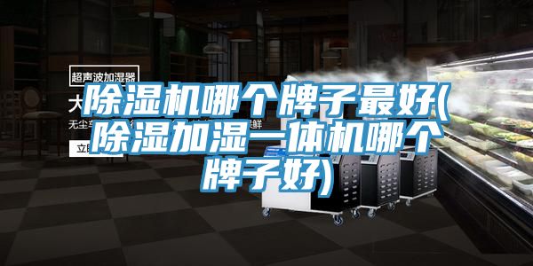 PICACG哔咔官网入口哪個牌子最好(除濕加濕一體機哪個牌子好)