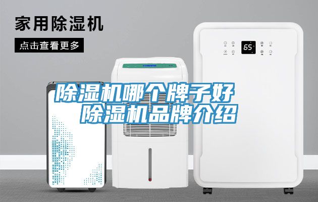 PICACG哔咔官网入口哪個牌子好  PICACG哔咔官网入口品牌介紹