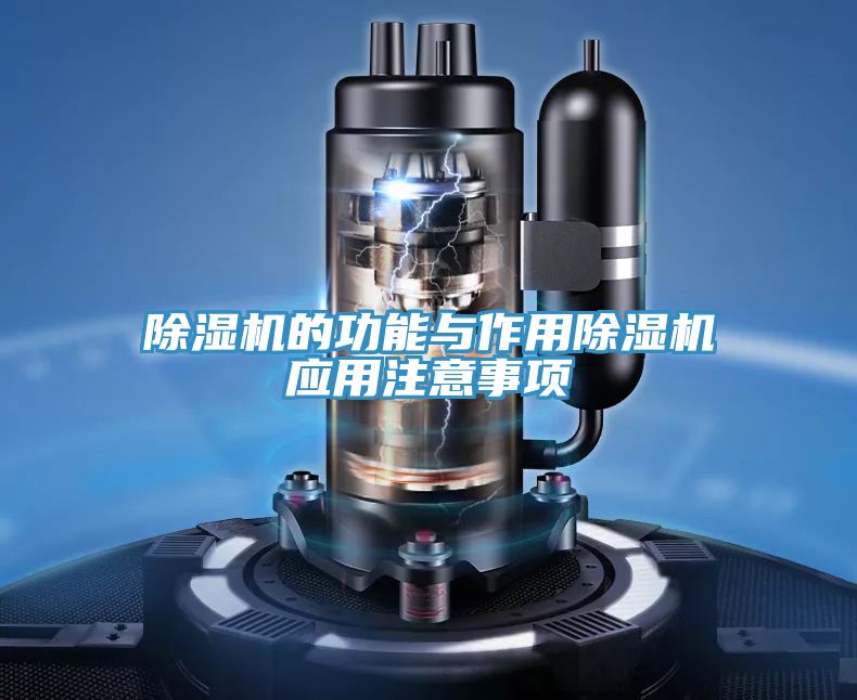 PICACG哔咔官网入口的功能與作用PICACG哔咔官网入口應用注意事項